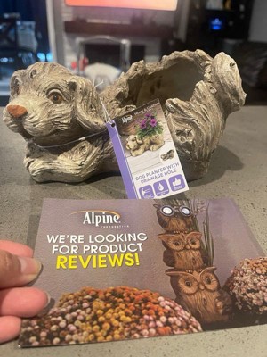 Guest review image 1 of 1, zoom in