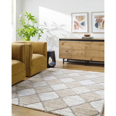 Hauteloom Aideen Cream Shag Area Rug