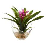8" x 6" Artificial Tropical Bromeliad in Angled Glass Vase Purple - Nearly Natural