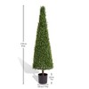 SKRAN Evergreen Outdoor Artificial Boxwood Topiary Tree Privacy Screen,Outdoor Decor,Decor Fake Tree,for Office,Patio,and Entryway. - 3 of 4
