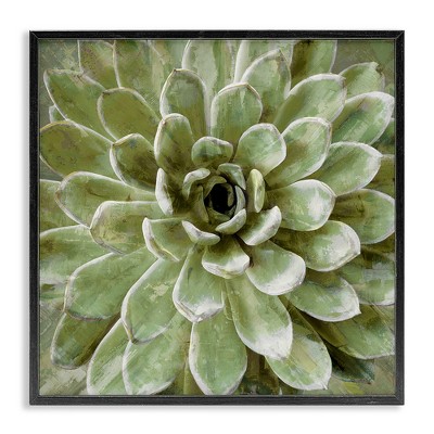 Stupell Industries Green Botanical Succulent Bloom, 24" x 24"