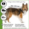Suitical Recovery Suit for Dogs with Click Up System - Black - 2 of 4