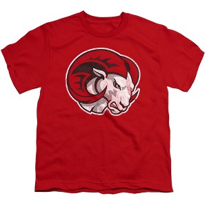 Winston Salem State University Distressed Primary Logo Kids T-Shirt For Youth Red - 1 of 4