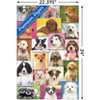 Trends International Keith Kimberlin - Puppies Grid Unframed Wall Poster Prints - 3 of 4