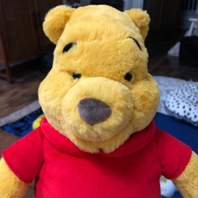 Winnie the Pooh Plush – Medium 13