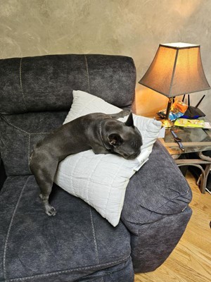 Guest review image 2 of 2, zoom in