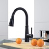 WOWOW 1/2 in. Kitchen Faucets Head with 3 Spray Modes in Oil Rubbed Bronze - 2 of 4
