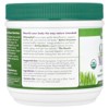 Green Foods Green Magma®, Barley Grass Juice Powder, 5.3 oz (150 g) - 3 of 4