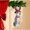 Kurt Adler Noble Gems Glass Ornament for Christmas Tree, Pitbull with Antlers, 4" - 2 of 2