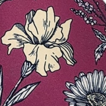 raspberry and white