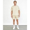 Spruce Fashion Stripe Boxy Tee - 4 of 4