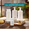 Native Fall Limited Edition Volumizing Toasted Vanilla & Honey Shampoo 16.5 - fl oz - 4 of 4