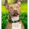 Country Brook Petz Premium Dog Collar - Irish Pride Collection - 2 of 4