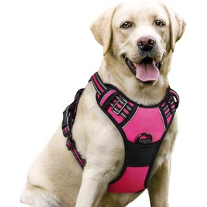 rabbitgoo Dog Harness No Pull with 2 Leash Clips, Adjustable Soft Padded, Reflective Oxford No Choke Pet Vest with Easy , Hot Pink, L - 1 of 1
