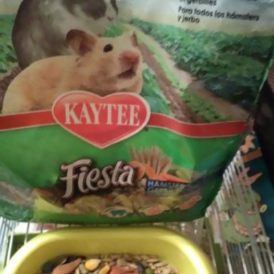 Hamster food target best sale