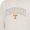 NCAA Tennessee Volunteers Men's Crew Neck Fleece Sweatshirt - 3 of 3
