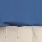 white/deep blue