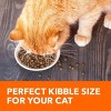 IAMS Proactive Health with Salmon Adult Premium Dry Cat Food - 4 of 4