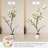 Faux Southern Magnolia Plant Yellow Flowered Magnolia, Artificial Magnolia Tree Inc. Realist Touch Flowers Vivid Leaves White Pot Dry Moss - 4 of 4