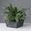 Novelty Ella Artstone Square Plastic Resin Planter with Water Minder System - 4 of 4