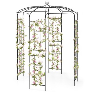 Tangkula Birdcage Shape Garden Arch 9.4 x 6.8FT Heavy Duty Arch Trellis with Hanging Hook for Climbing Plants - 1 of 4