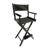 Aghana Digitals 2-Piece Foldable Director's Chairs with Black Populus Frame & Canvas, 176LBS - 2 of 4