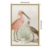Amanti Art Antique Chroma Waterbirds II by  Framed Canvas Wall Art - 4 of 4