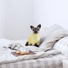 Breyer Animal Creations CollectA Cats & Dogs Collection Miniature Figure | Siamese Cat - 2 of 4