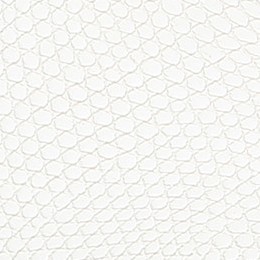 white sunset snake
