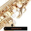 Glarry Student Alto Eb E-flat SAX Saxophone Gold Lacquer SAX Beginners Kit with Case, Reeds, Mouth Piece, Soft Cleaning Cloth and Rod, Gloves - 4 of 4