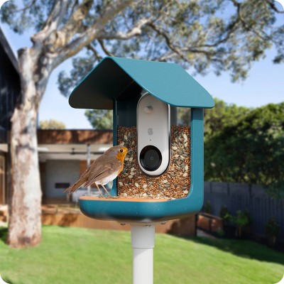 Bird Buddy Outdoor Bird Feeder Kit 9&#34; - Blue_6