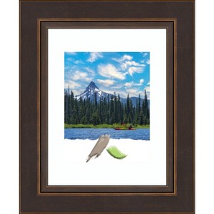 Amanti Art Lara Bronze Wood Picture Frame - 1 of 4
