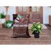 Envelor 1.75 Cu. Ft Potting Soil Plants Soil Coco Mix Coconut Coir for Plants - 50 Liter Bag - 2 of 4