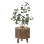 Vintiquewise Wooden Stump Tree Log with Bark Planter Pot with Small Tree Branch Legs