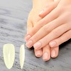 Unique Bargains Women's Full Coverage Almond Fake Nails Beige 1 Set - 2 of 4