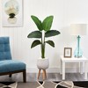 Nearly Natural 5-ft Travelers Palm Artificial Plant in White Planter with Stand (Real Touch) - 3 of 4