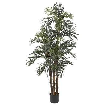 60" Artificial Robellini Palm Tree in Pot Black - Nearly Natural