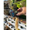 ARQLITE Smart Gravel Eco Friendly Plant Drainage for Healthy Roots - 3 of 4