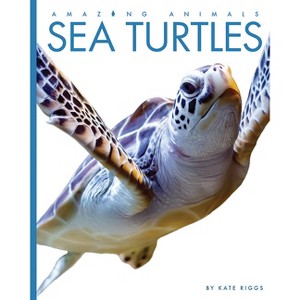 Sea Turtles - by  Kate Riggs (Paperback) - 1 of 1