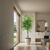 5/6 feet artificial banyan tree, lifelike shape, maintenance-free, safe and anti-dumping, suitable for living room and office decoration - 4 of 4
