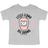 The Juniper Shop SmileyWorld Little Llama Big Drama Toddler Short Sleeve Tee - 2 of 4