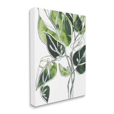 Stupell Industries Hanging Plant Vines Modern Greenery Watercolor Gallery  Wrapped Canvas Wall Art, 24 X 30 : Target