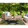 Liora Manne Marina Traditional Indoor/Outdoor Rug.. - 4 of 4