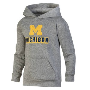NCAA Michigan Wolverines Boys' Gray Hoodie - 1 of 3