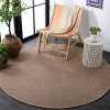 Sisal Performance SPF110 Power Loomed UV Resistant,Stain Resistant, Non-Shedding Indoor/Outdoor Rugs - Safavieh - 3 of 4