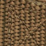 coyote tan