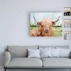 Trademark Fine Art-Victoria Borges 'Highland Grazer II' Canvas Art - 3 of 3