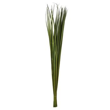 Vickerman Sable Grass, Dried