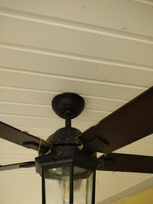 Guest review image 3 of 4, zoom in