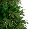 Northlight 7.5' Pre-Lit Roosevelt Fir Artificial Christmas Tree - Clear Lights - 4 of 4